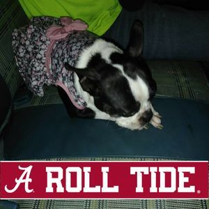 Meet your Posher, Jennifer